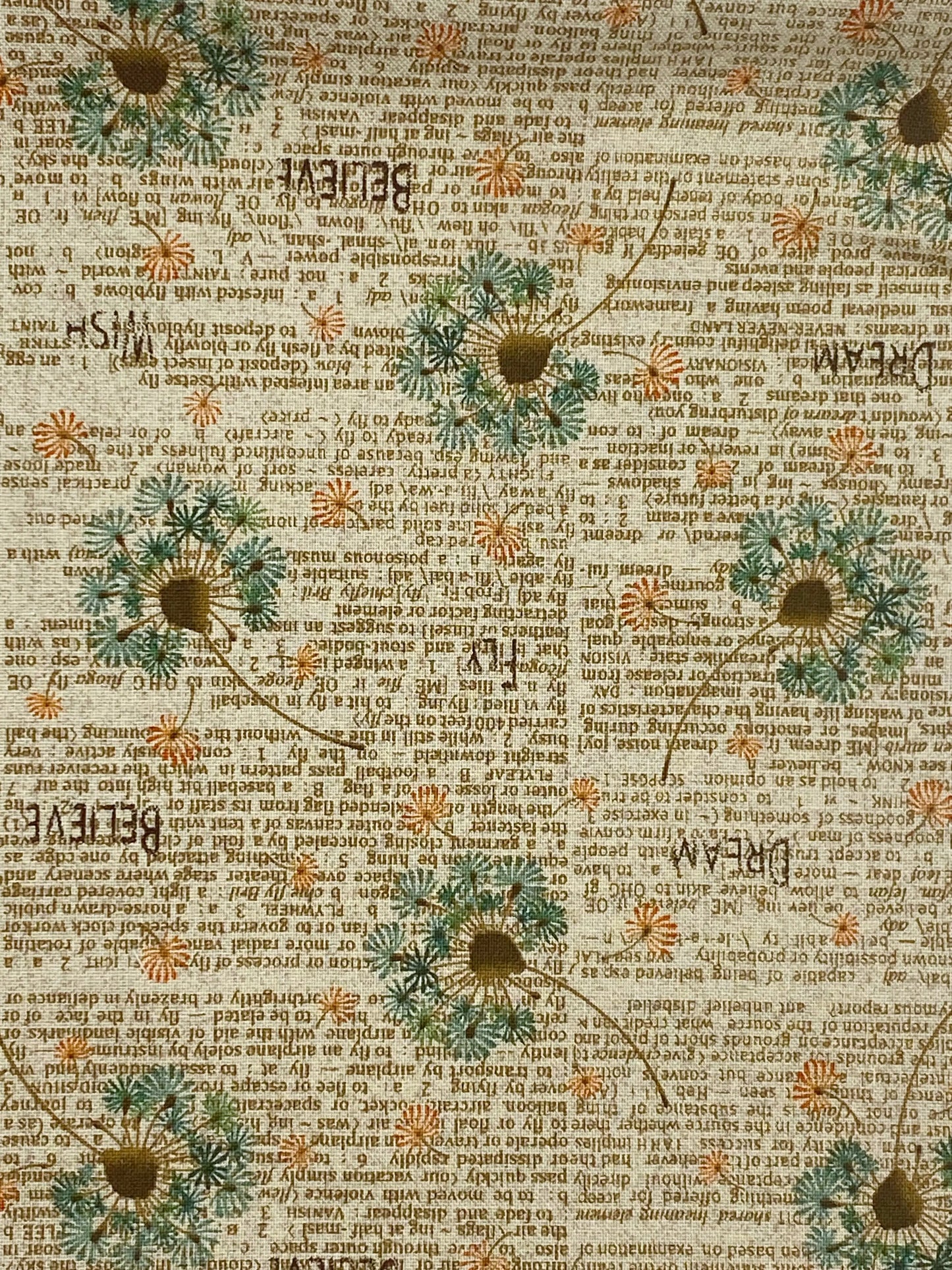 Tessuto Americano Hitty Bitty scritte e fiori 100% cotone h 110 - 18,00€/mt