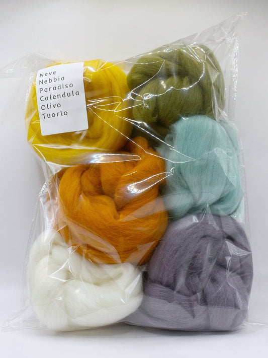 Set Sole d'Inverno - 6 colori e 1 ago da infeltrimento